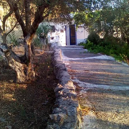 Iliana's Daire *